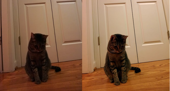 Glass before and after Cat