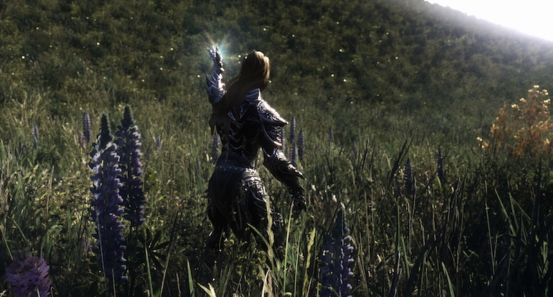 Dark Souls 2 - Kalicolas Enhanced Graphics ENB - ENBSeries