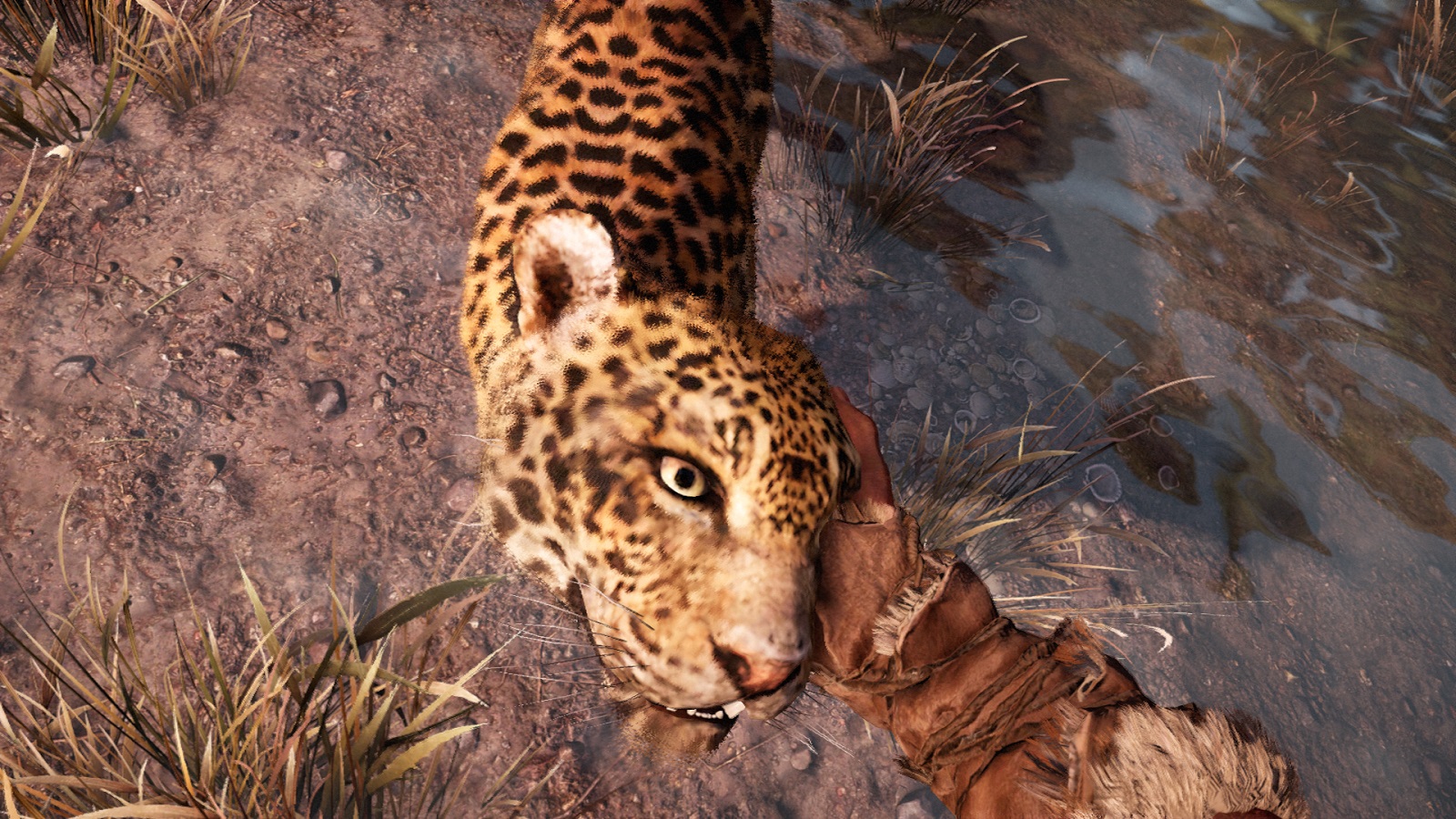 far-cry-primal-review-007