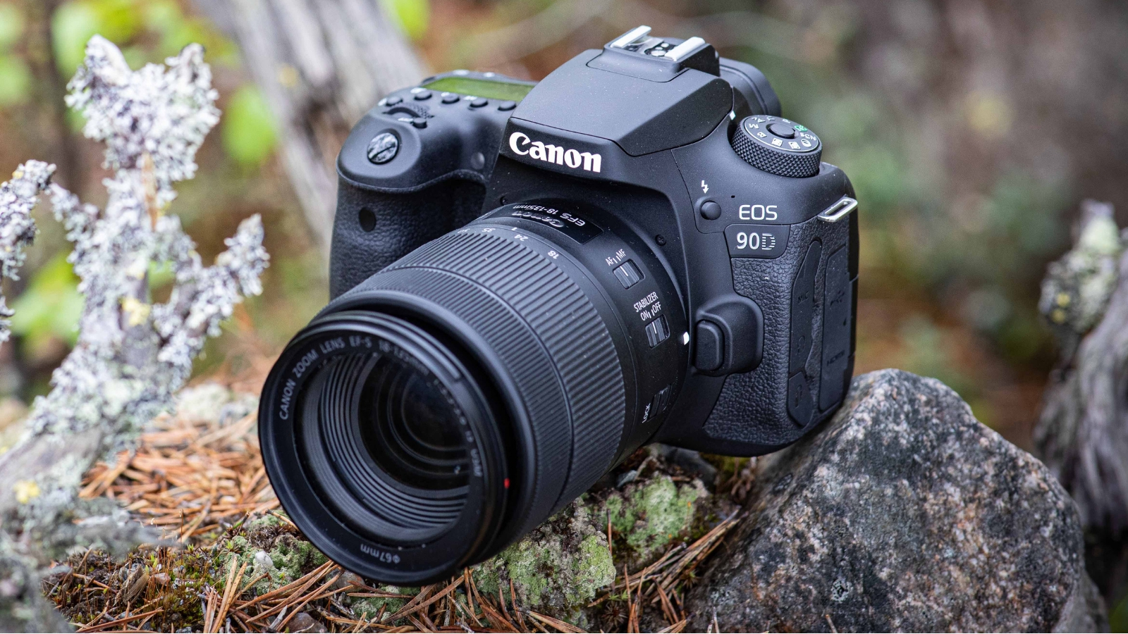 Canon's 90D and M6 Mark II cameras are now official